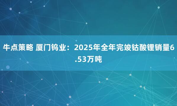 牛点策略 厦门钨业：2025年全年完竣钴酸锂销量6.53万吨