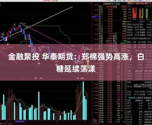 金融聚投 华泰期货：郑棉强势高涨，白糖延续荡漾