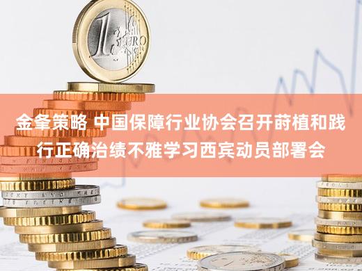 金夆策略 中国保障行业协会召开莳植和践行正确治绩不雅学习西宾动员部署会
