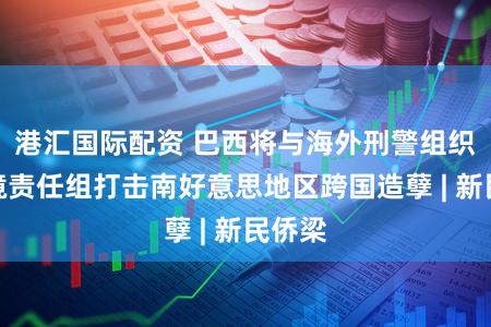 港汇国际配资 巴西将与海外刑警组织建止境责任组打击南好意思地区跨国造孽 | 新民侨梁