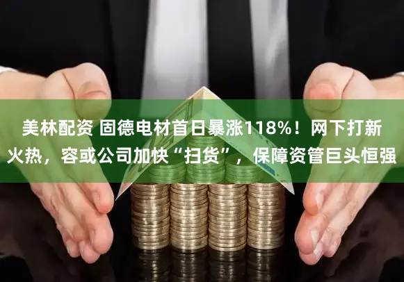 美林配资 固德电材首日暴涨118%！网下打新火热，容或公司加快“扫货”，保障资管巨头恒强