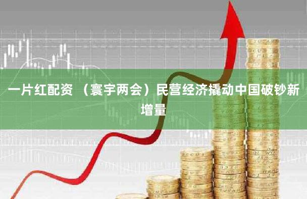 一片红配资 （寰宇两会）民营经济撬动中国破钞新增量