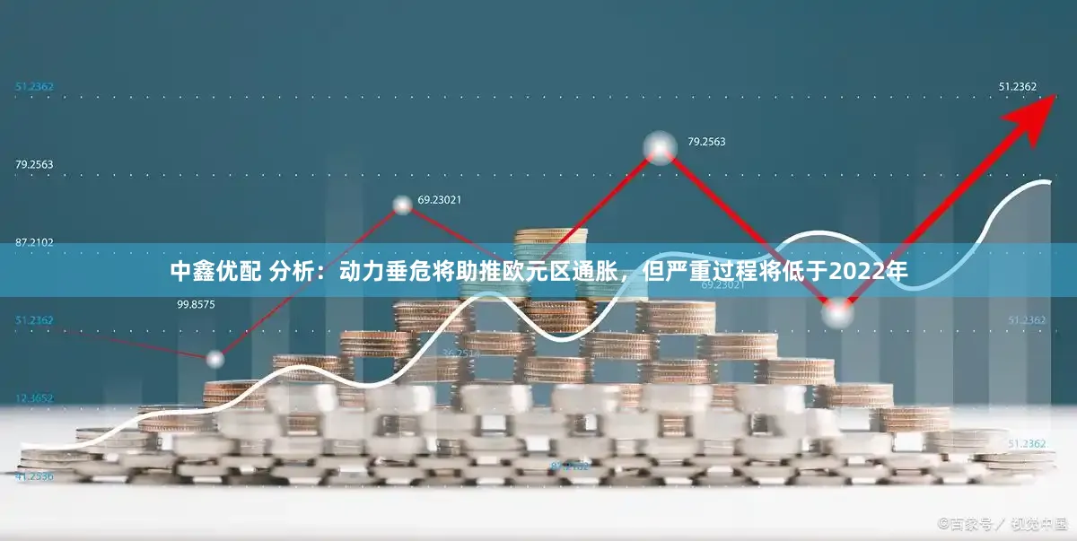 中鑫优配 分析：动力垂危将助推欧元区通胀，但严重过程将低于2022年