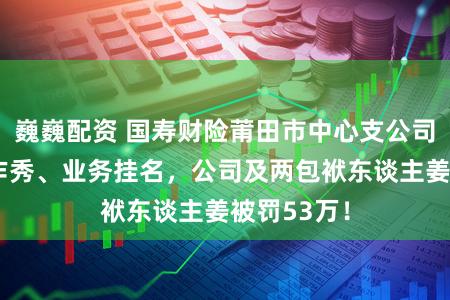 巍巍配资 国寿财险莆田市中心支公司财务数据作秀、业务挂名，公司及两包袱东谈主姜被罚53万！