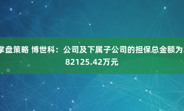 掌盘策略 博世科：公司及下属子公司的担保总金额为382125.42万元