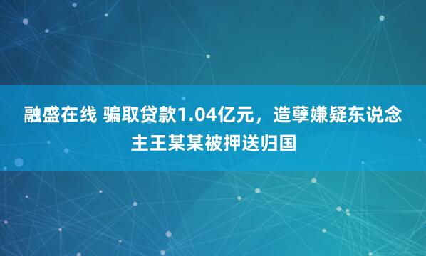 融盛在线 骗取贷款1.04亿元，造孽嫌疑东说念主王某某被押送归国