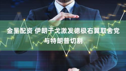 金呈配资 伊朗干戈激发德极右翼取舍党与特朗普切割