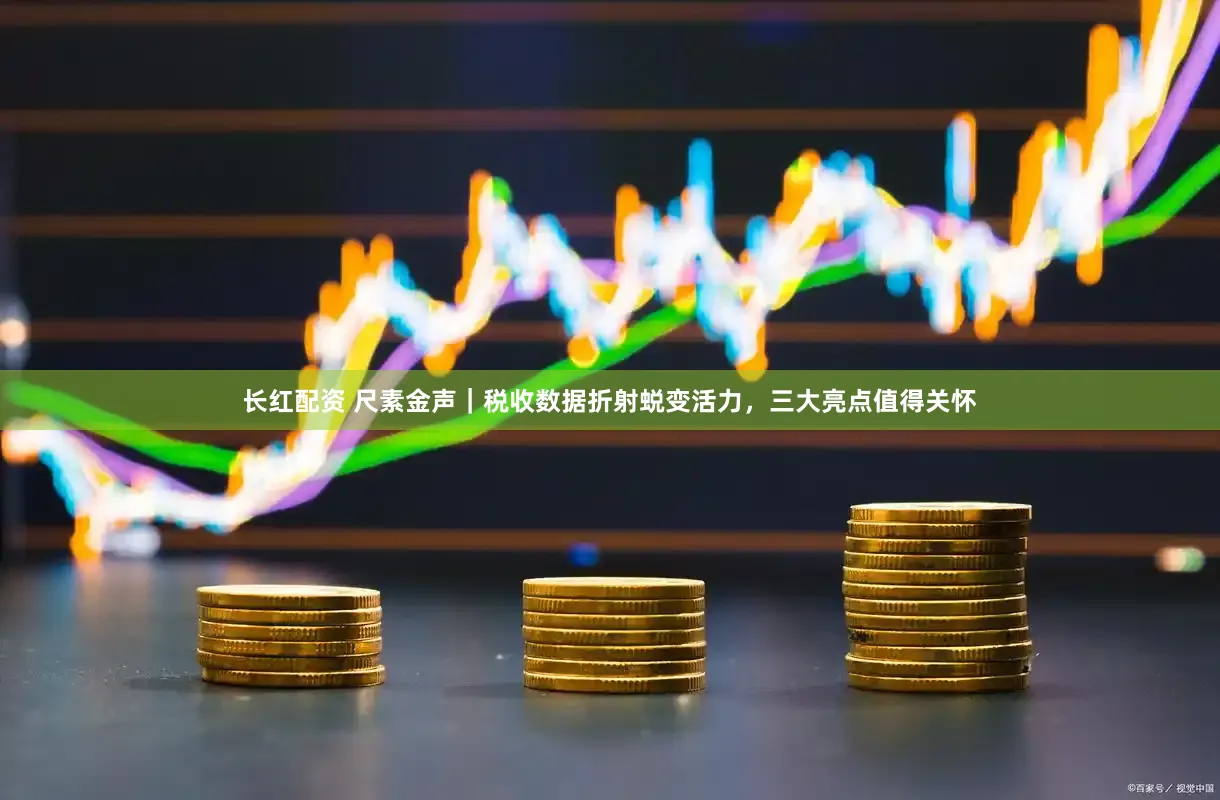 长红配资 尺素金声｜税收数据折射蜕变活力，三大亮点值得关怀